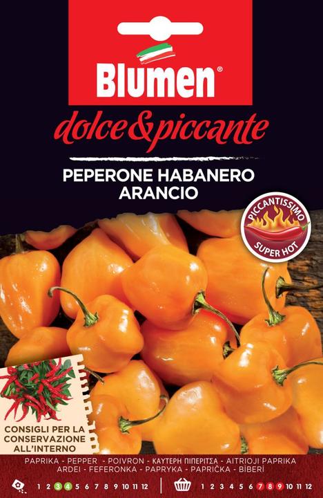 Actual product image Blumen Paprika Habanero Arancio (Vegetable seeds)