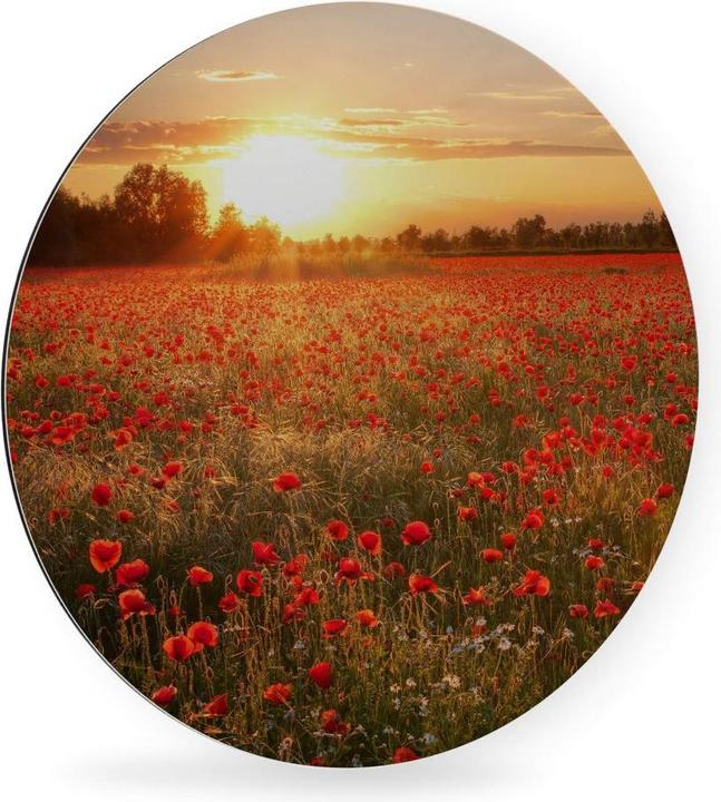 Image du produit Trenddeko Champ de coquelicots au coucher du soleil (Ø 45 cm)