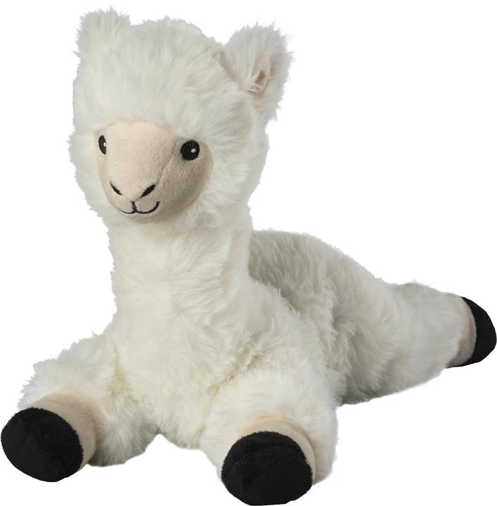 lama