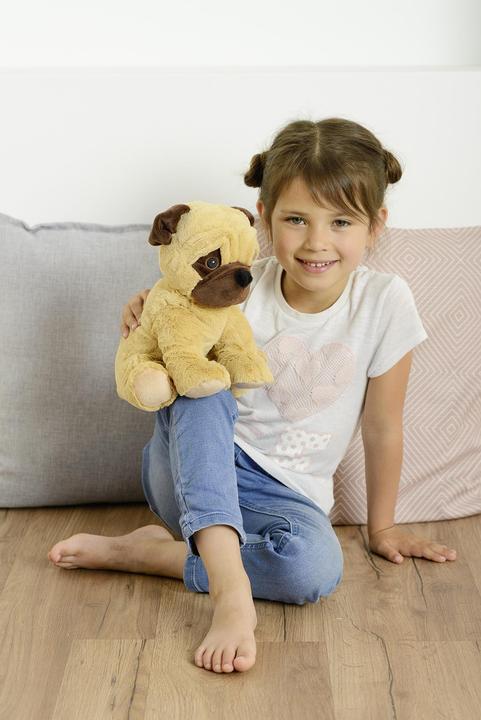 Immagine prodotto Warmies Carlino (21.80 cm)