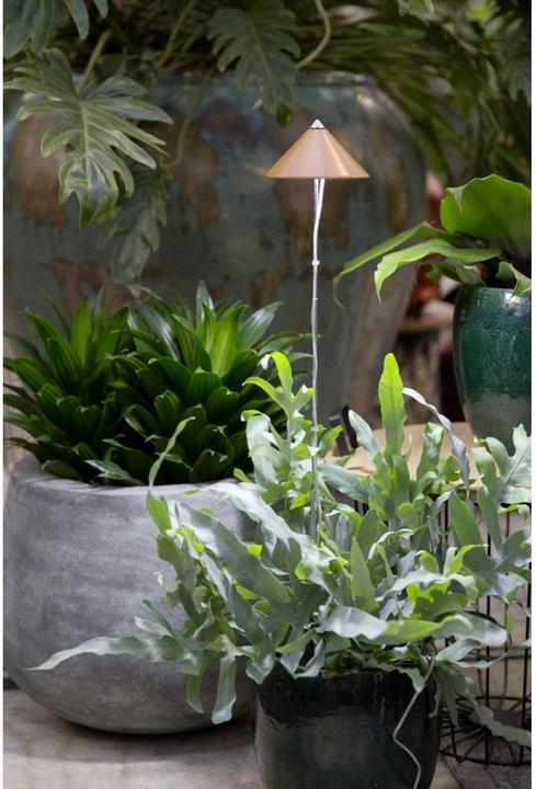 Actual product image Colibri Sunlite (LED, 230 V)
