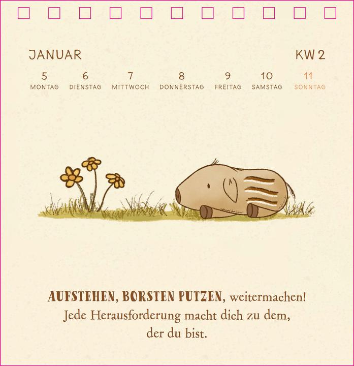Immagine prodotto Siefert:Mister O'Lui Tischkalender 2026 (Tedesco)