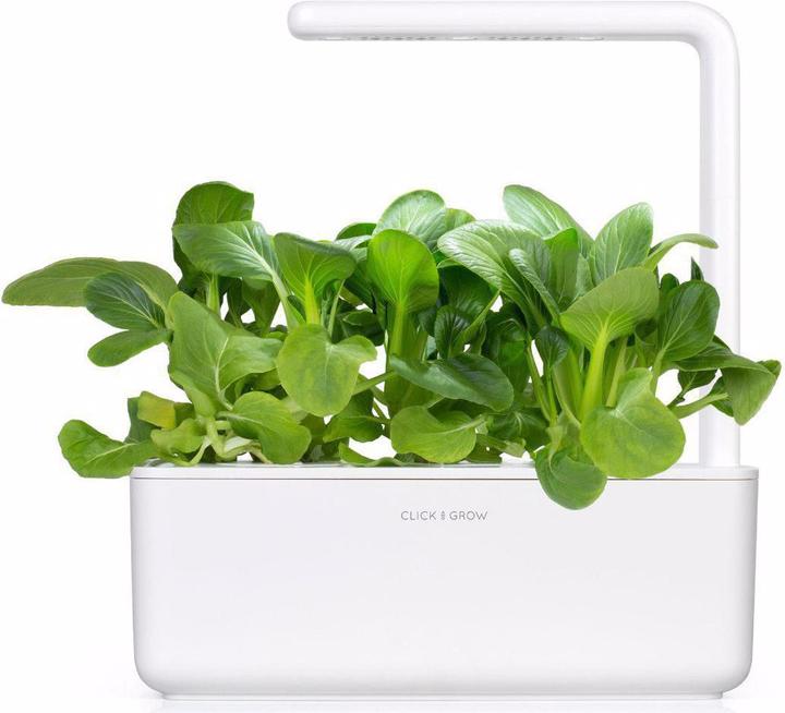 Actual product image Click and Grow Seeds Pak Choi (Vegetable seeds)