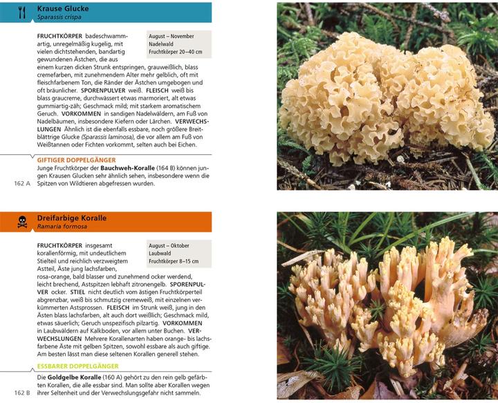 Produktbild Kosmos Essbare Pilze und ihre giftigen Doppelgänger (Deutsch, Hans E. Laux, Andreas Gminder, 2022)