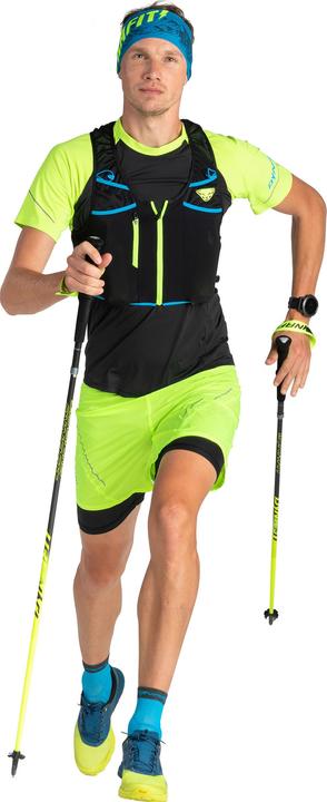 Actual product image Dynafit Vertical Pro poles (110 cm)