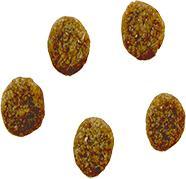 Produktbild Bozita Dog Robur Sensitive Grain Free Chicken (Adult, 1 Stk., 11500 g)