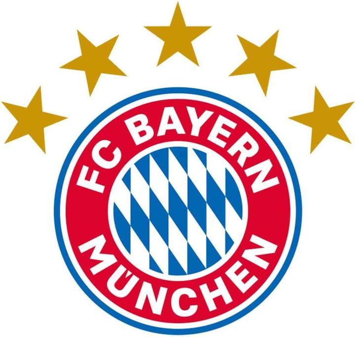 Produktbild FC Bayern München Stern des Südens (32 x 30 cm)