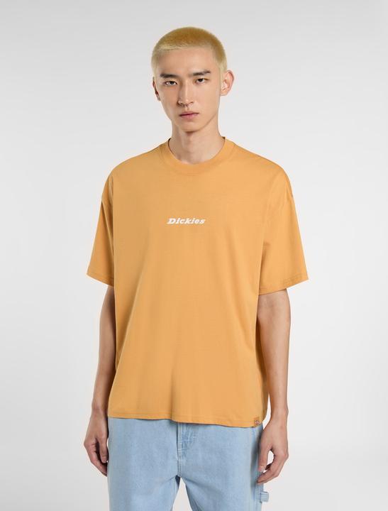 Produktbild Dickies Enterprise Tee Ss Oak Buff (XL)