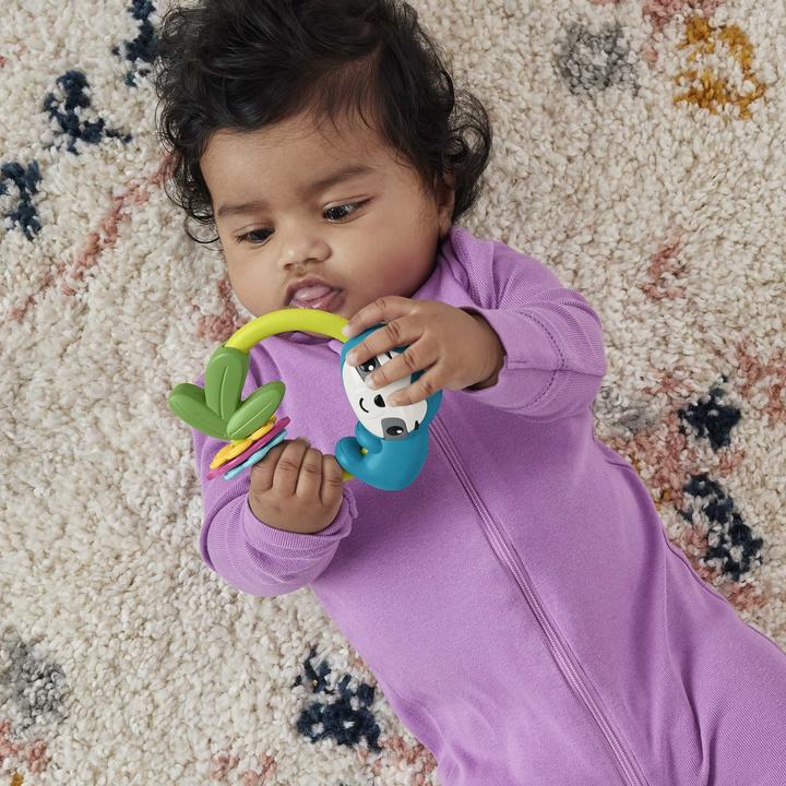 Image du produit Fisher-Price Anneaux de dentition d'activité animale assortis