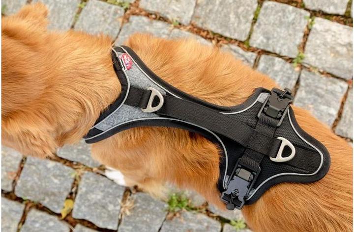 Image du produit Curli Harnais magnétique Belka Comfort (XS, Chien, Général)