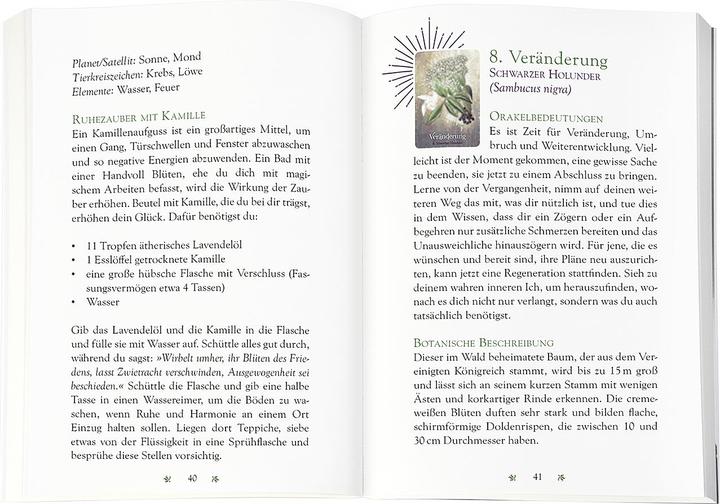 Produktbild Das magische Orakel der Heilpflanzen (Deutsch, Cheralyn Darcey, Alexandra Baisch, Deer Dandy, 2024)