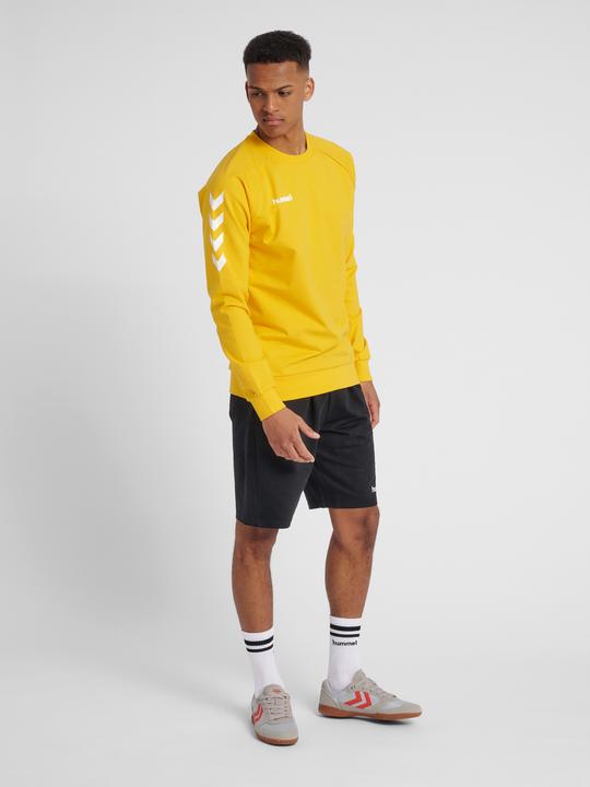 Produktbild hummel Go Cotton Sweatshirt (M)