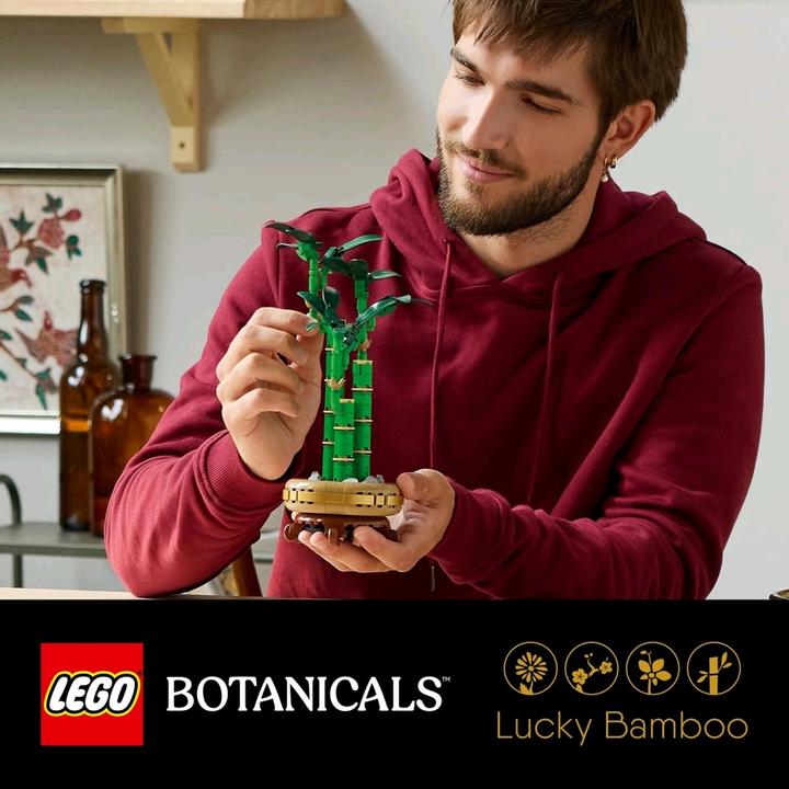 Produktbild LEGO Glücks-Bambus (10344, LEGO Icons)