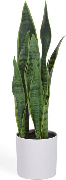 Produktbild Kave Home Sansevieria (55 cm)