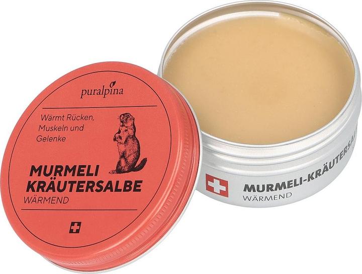 Image du produit Puralpina Pommade aux herbes Murmeli (1 x, 50 ml, 60 g)