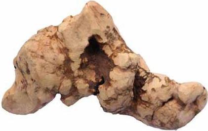 Actual product image Chewies Chewable root (Adult, 5 pcs., 300 g)