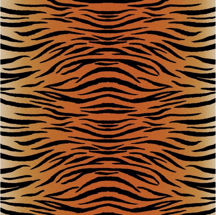 Actual product image Cricut Iron-on film Infusible Ink Leopard 30.5 x 30.5 cm, 4 pieces