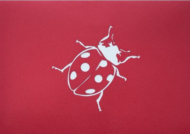Actual product image Hervorragend 3D Pop-up Karte Marienkäfer auf Blume rot (1 pcs.)
