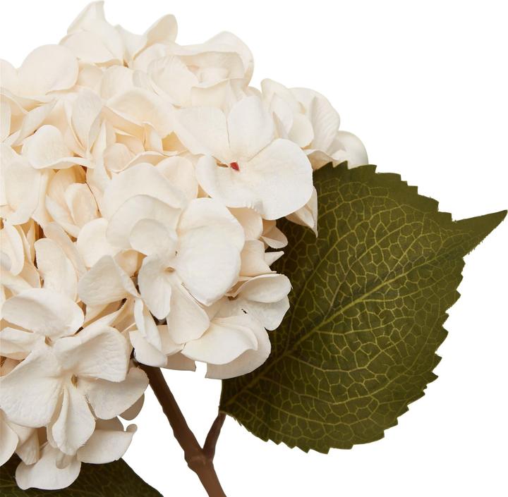 Actual product image micasa Hydrangea (65 cm)