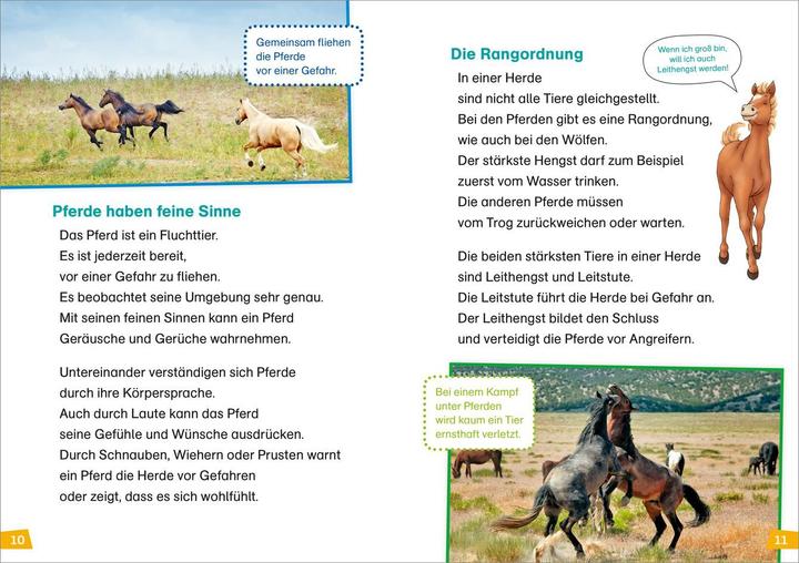 Immagine prodotto Tessloff WAS IST WAS Erstes Lesen Band 7. Pferde und Ponys (Tedesco, Cristina Marrone, Annelie Stenzel, 2019)