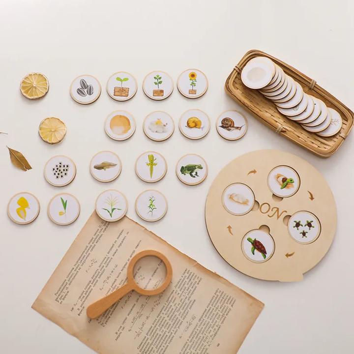 Image du produit Activity Board Jouet en bois pour bébé Animal Life Cycle Cognition Wooden Board Infant Toy Early Educational Baby