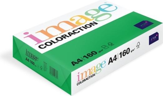 Actual product image Image Kopipapir Coloraction A4 160g Dublin Deep green 250ark/pkt - (250 ark pr. pakke)