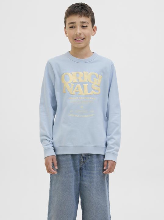 Produktbild Jack & Jones Gedruckt Sweatshirt Junior Sweatshirt (164)