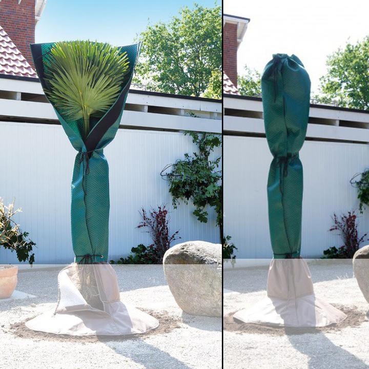 Keller Fahnen Palmenschutz