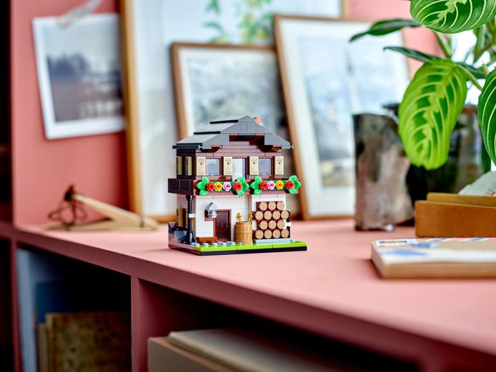 Actual product image LEGO 40594 Houses of the World 3 Limited Edition (40594)