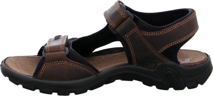 Actual product image IMAC Spa Sporttech Men testa di moro (41)