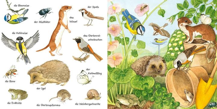 Produktbild Mein kleines buntes Bildwörterbuch: Tiere im Park und im Garten (Deutsch, Christine Henkel, 2024)