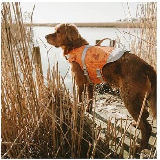 Immagine prodotto Hurtta Vita Salvatore ECO corallo circa 40-80kg (L, Accappatoio per cani)