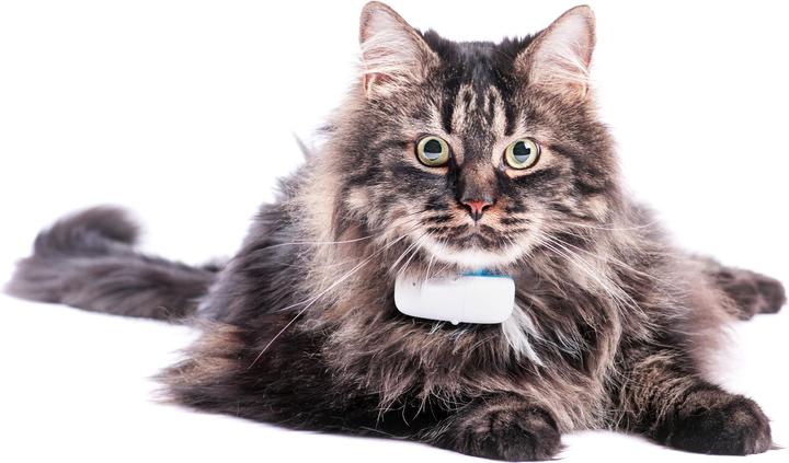 Immagine prodotto Tractive Localizzatore GPS per gatti con tracciamento dell'attività (Gatto, Passeggiare)