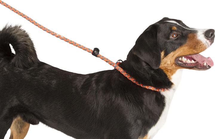 Immagine prodotto Kerbl Linea di scorrimento Maxi Safe 170 cm x 12mm, arancione neon (Cane, Sport cane)