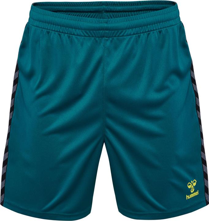 Image du produit hummel Hmlauthentic Pl Shorts (L)