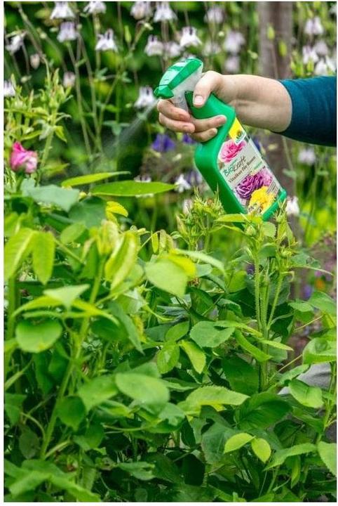 Produktbild Neudorff BioKraft Vitalkur für Rosen, 500 ml