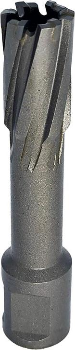Immagine prodotto Makita Fresa MD per trapano a colonna base magnetico Ø 20 x 55 mm (20 x 55 mm)