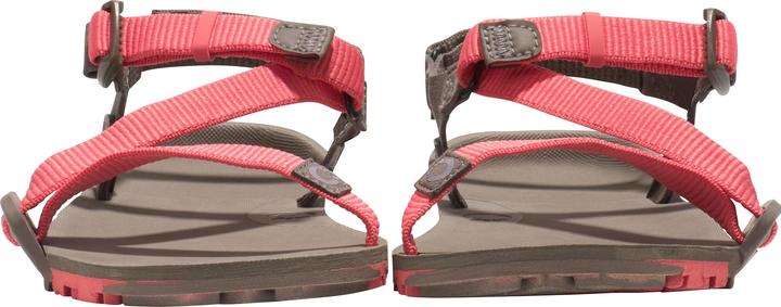 Image du produit Xero Shoes Z-Trail EV (40.5)