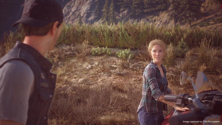 Produktbild Sony DAY'S GONE - PS4 (PS4, DE)