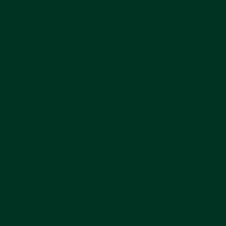 Actual product image Marabu Spray paint do it Satin matt (Dark green, 150 ml)
