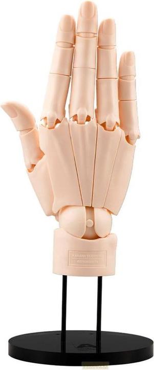 Actual product image Kotobukiya Takahiro Kagami PVC Artist Support Item Hand 1/1 Model/R Pale Orange 21 cm