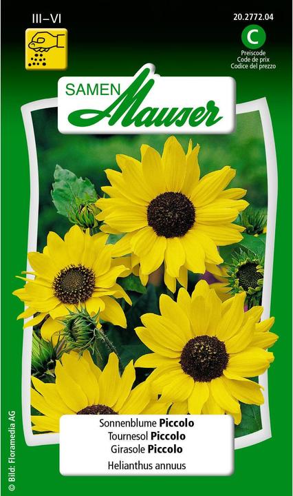 Immagine prodotto Samen Mauser Girasole Piccolo (Semi di piante)