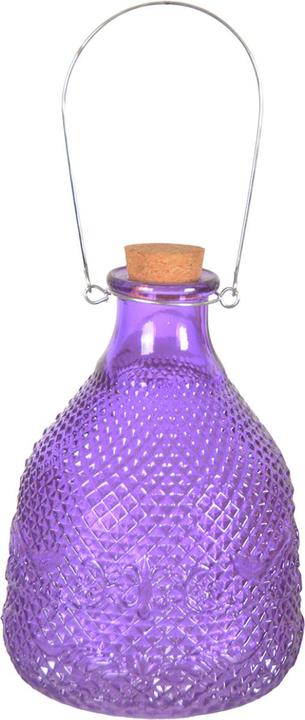 Actual product image Esschert Design Wasp trap Hobnail glass 3 colors L