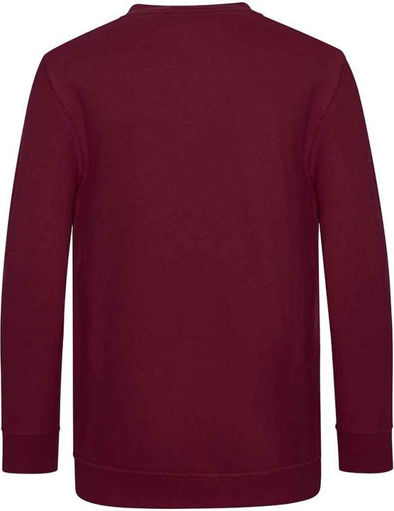 Image du produit Awdis - Sweat ACADEMY - Enfant (128)