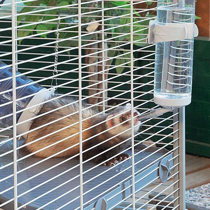 Immagine prodotto Ferplast Torre Furet