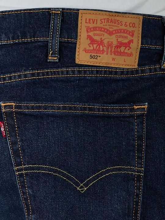 Actual product image Levis 10012858 (W46/L32)