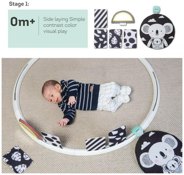 Produktbild Taf Toys Aktivitätenreifen All Around Me