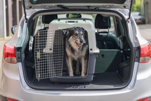 Actual product image Karlie Nomad (Dog, Cat, Lockable)