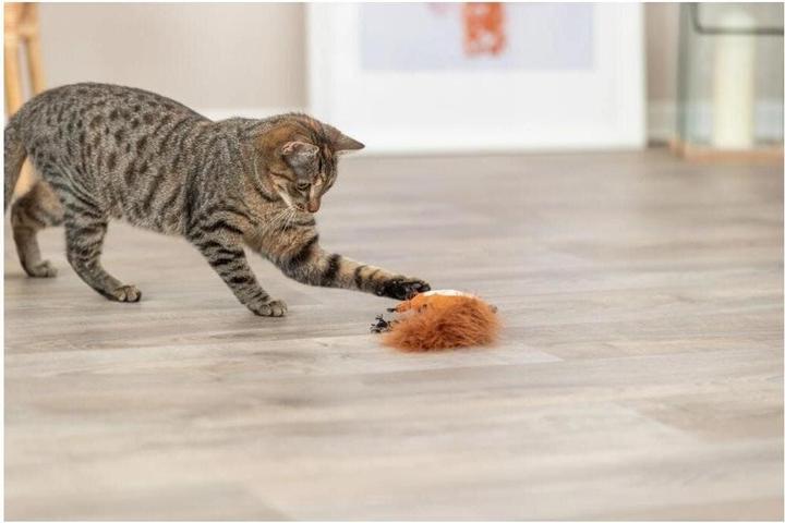 Produktbild Trixie Katzen-Spielzeug Eichhörnchen, Plüsch/Feder Braun (Plüschspielzeug Katze)