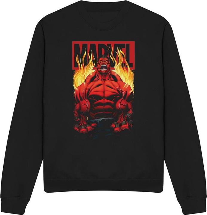 Produktbild Sweatshirt (XL)